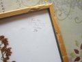 Стара картина Хербарий, снимка 3