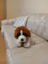 ПЛЮШЕНА ИГРАЧКА КУЧЕНЦЕ, снимка 10