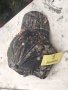 Продавам безболни шапщи Browning - подходящи за лов, спорт, риболов или гъзария :), снимка 5