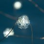 Коледни лампички Снежинки, 2.20м, Студено бяло, снимка 1 - Лед осветление - 42744276