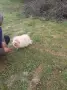 момченце и Момиченце , снимка 3