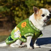  Ръчно бродирани перуански кучешки дрешки различни цветове и размери, снимка 7 - За кучета - 42804804