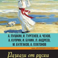 Разкази от руски писатели, снимка 1 - Художествена литература - 34031819