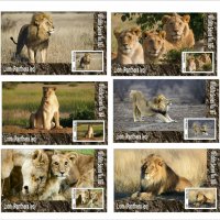 Чисти блокове Фауна Лъвове 2020 от Тонго, снимка 1 - Филателия - 37603592