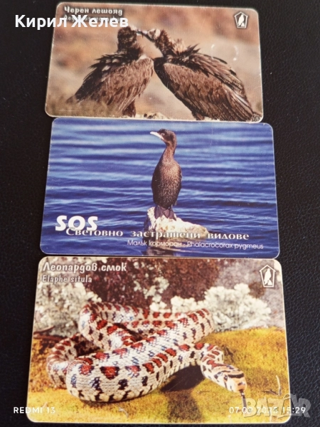 Три фонокарти МОБИКА тема ЗАСТРАШЕНИ ВИДОВЕ,ЧЕРЕН ЛЕШОЯД,ЛЕОПАРДОВ СМОК 12262, снимка 1