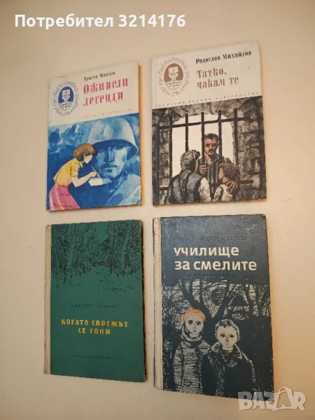 Татко, чакам те - Радослав Михайлов, снимка 1