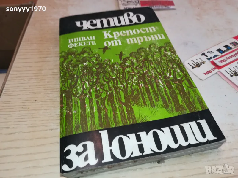 КРЕПОСТ ОТ ТРЪНИ 2001250624, снимка 1