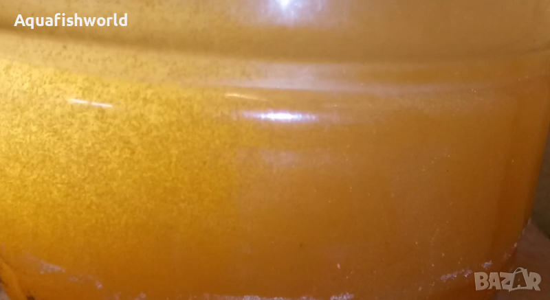 Артемия за излюпване, снимка 1