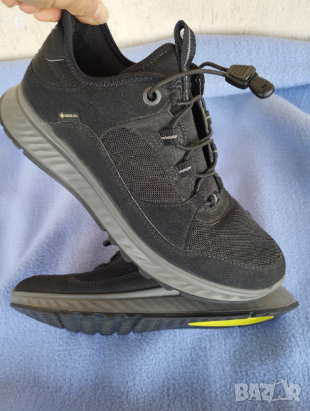 Ecco coretex номер 37., снимка 1