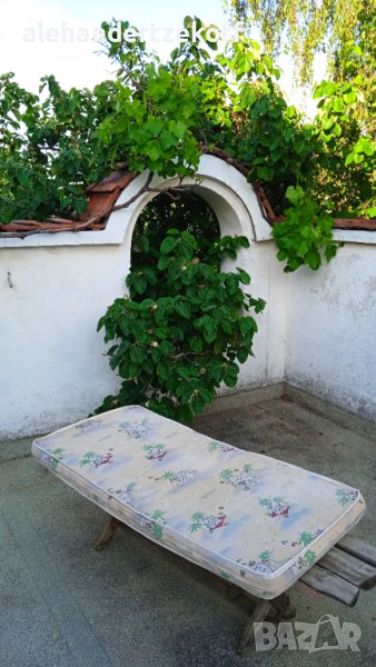 Детски бебешки класически кокосов матрак дюшек, снимка 1