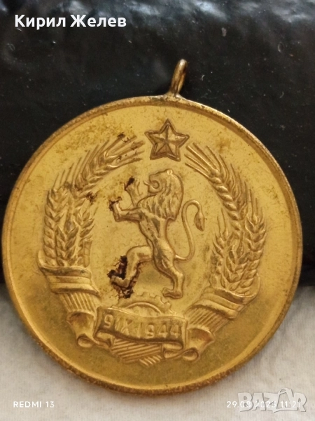 Медал за МАЙЧИНСТВО стар рядък за КОЛЕКЦИЯ ДЕКОРАЦИЯ 18510, снимка 1