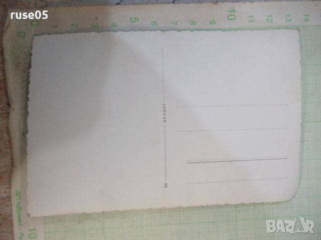 Снимка сватбена стара - 1, снимка 2 - Колекции - 44694580