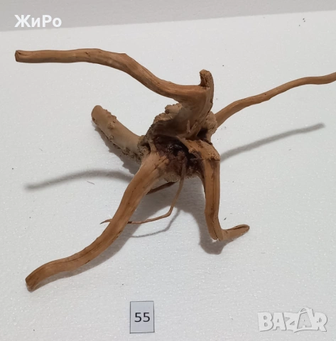 Корен от Азалия /декорация/ 55, снимка 3 - Други - 54102251