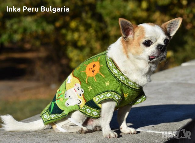 Ръчно бродирани перуански кучешки дрешки различни цветове и размери , снимка 7 - За кучета - 42821198