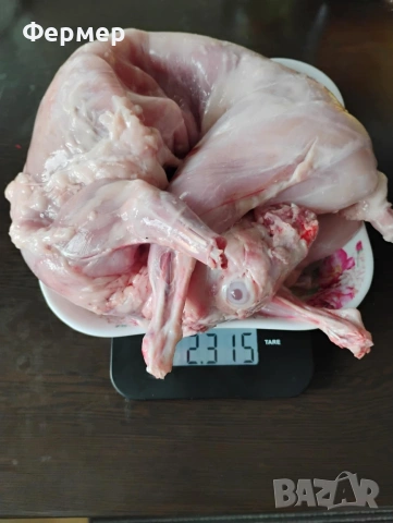 Прясно заешко месо, снимка 2 - Домашни продукти - 53186807