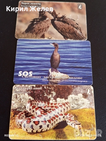 Три фонокарти МОБИКА тема ЗАСТРАШЕНИ ВИДОВЕ,ЧЕРЕН ЛЕШОЯД,ЛЕОПАРДОВ СМОК 12262