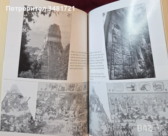 Колапс - как цивилизациите избират да загинат или успеят / Collapse, снимка 8 - Художествена литература - 54243911