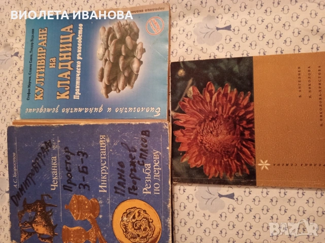 книги., снимка 6 - Други - 53214255