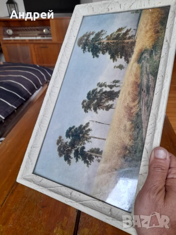 Стара картина #22, снимка 6 - Картини - 50715708