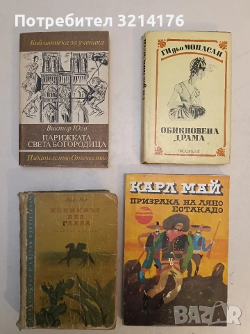 Парижката Света Богородица - Виктор Юго