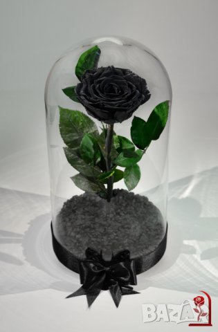 Подарък за Жена / Истинска Черна Роза в ГОЛЯМА Стъкленица / Романтичен и Луксозен Подарък за Нея, снимка 9 - Подаръци за жени - 34470341