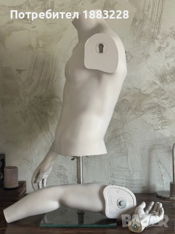 Манекен торс 2 мъжки и два дамски, снимка 4 - Манекени - 54265361