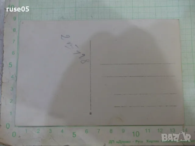 Снимка стара на група на пикник - 1, снимка 2 - Колекции - 47906811