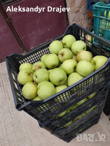 Круши, Ябълки,Мед и Сокове , снимка 8 - Домашни продукти - 56258345