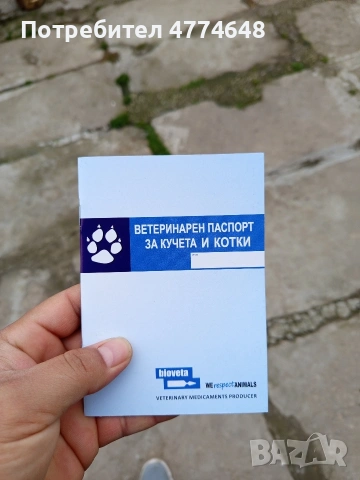 Продавам Кане Корсо чистокръвни САС ваксина, снимка 7 - Кане корсо - 54051351