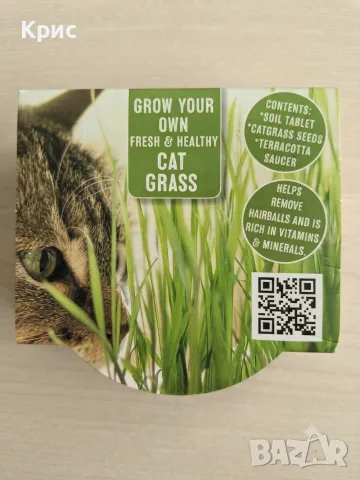 Прясна котешка трева (Cat Grass Growset)- Комплект за отглеждане