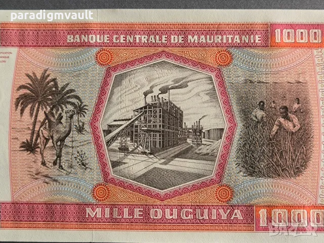 Банкнота - Мавритания - 1000 угия UNC | 1981г., снимка 3 - Нумизматика и бонистика - 50383928