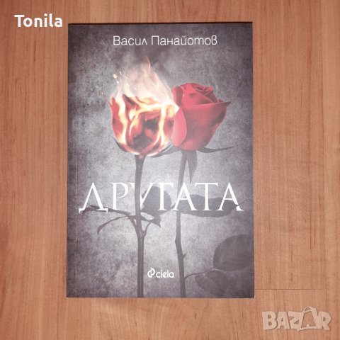 Васил Панайотов  - Другата