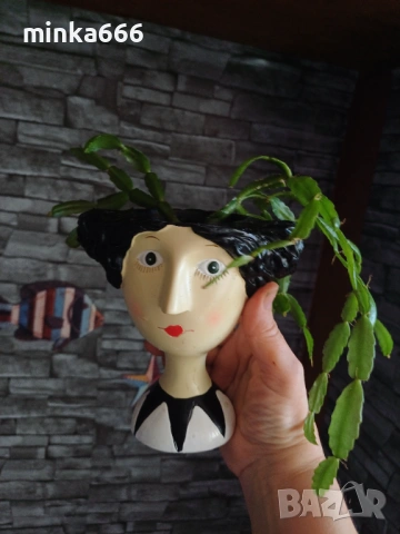 Великденче в красива саксия., снимка 3 - Стайни растения - 54119198