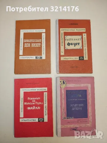 Сервантесовият "Дон Кихот" - Н. Снеткова