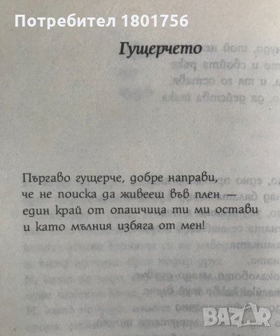 Дъжд и слънце над Сена  Жак Превер, снимка 5 - Художествена литература - 29137488