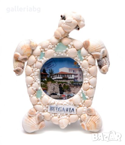 Рамка за снимки във формата на костенурка покрита с мидички - Bulgaria, снимка 1 - Морски сувенири - 40366166