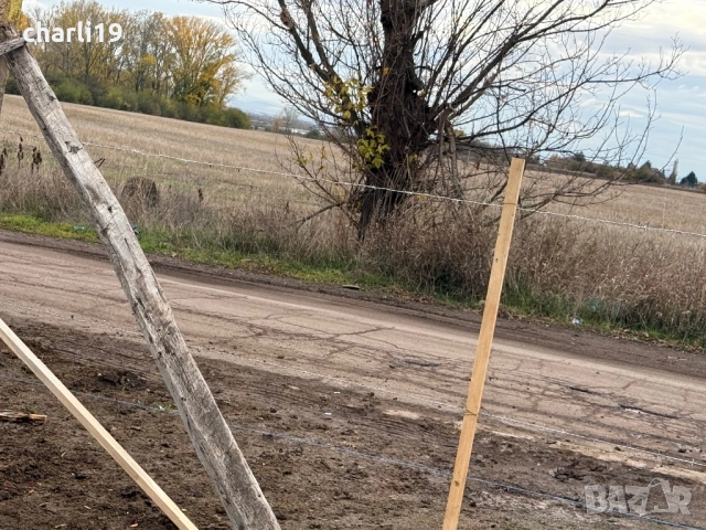 От собственик парцел 1 декар в Ботунец, снимка 4 - Парцели - 52428886