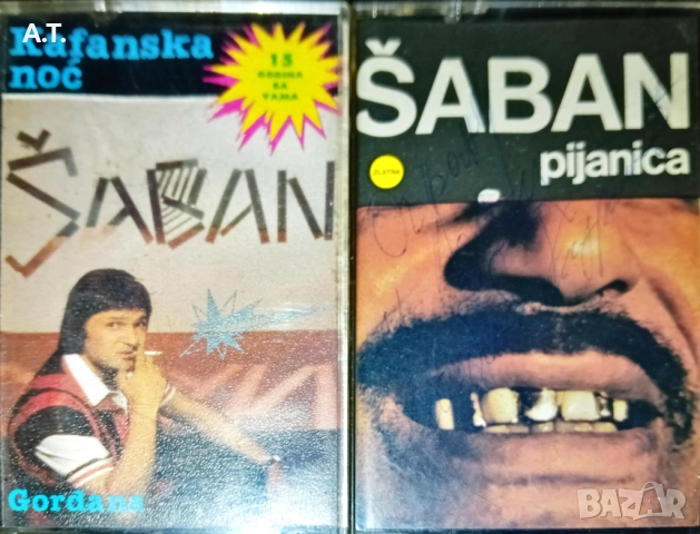 LEPA BRENA,MIROSLAV ILIC, SABAN, VESNA, снимка 10 - Аудио касети - 52394807