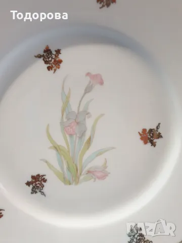 Голяма порцеланов чиния-поднос-Limoges, снимка 5 - Сервизи - 47311674