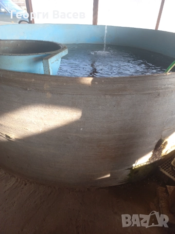 Вана за жива риба , снимка 2 - Други животни - 52639741