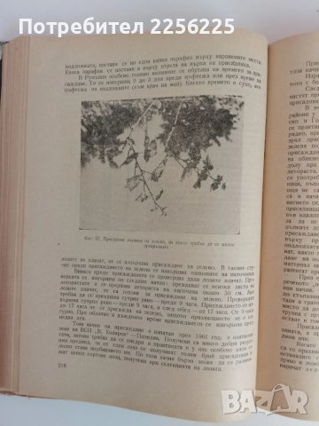 Лозарство, снимка 4 - Специализирана литература - 51124468