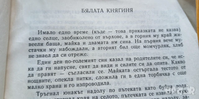 Бялата княгиня - Мария Дюричкова, снимка 2 - Детски книжки - 51184816