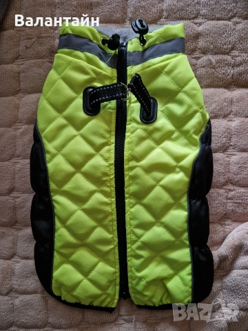 Яке за куче среден размер , снимка 3 - За кучета - 43222033