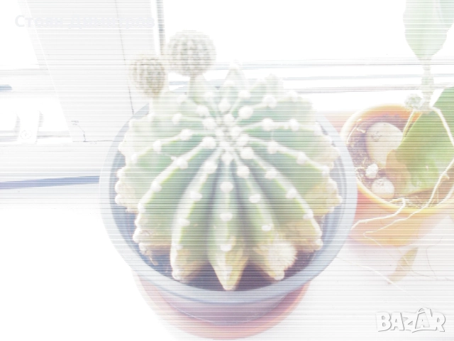 Цифров фотоапарат Samsung S860 за ремонт или за части , снимка 7 - Фотоапарати - 50945633