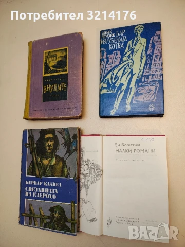 Малки романи - Ен Ветемаа, снимка 2 - Художествена литература - 50685939