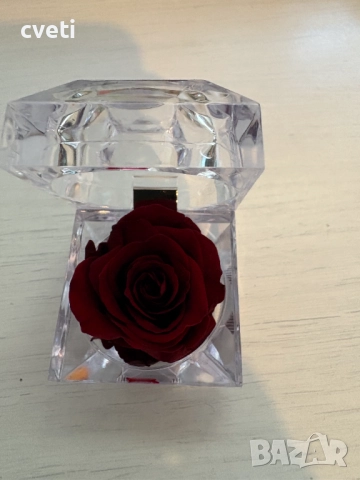 Вечна роза в кристална кутия , снимка 12 - Градински цветя и растения - 48969850