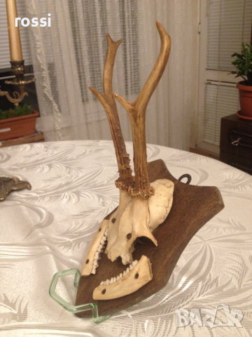 Красив немски трофей сръндак. Трофейна поставка. Документ., снимка 3 - Антикварни и старинни предмети - 36560340