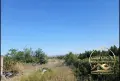 парцел село Бисер, снимка 6