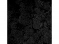 Скандинавски Мъх 500гр, Черен, снимка 2