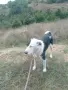 Панда търси своите хора , снимка 2